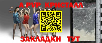 a pvp Кингисепп