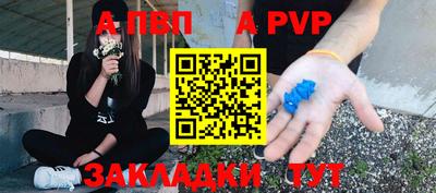 a pvp Кингисепп